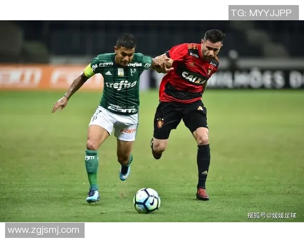 圣保罗与帕梅拉斯精彩对决直播全程回顾与分析 圣保罗与帕梅拉斯精彩对决直播全程回顾与分析