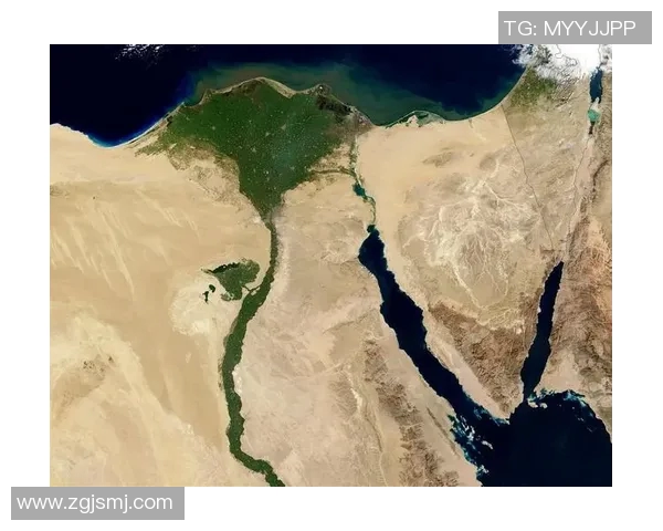 埃及与突尼斯首发阵容分析及比赛前瞻探讨